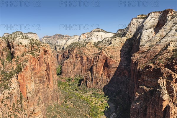 View of Zion Canyon from Angels Landing, Zion National Park, Colorado Plateau, Utah, USA, Zion National Park, Utah, USA, North America