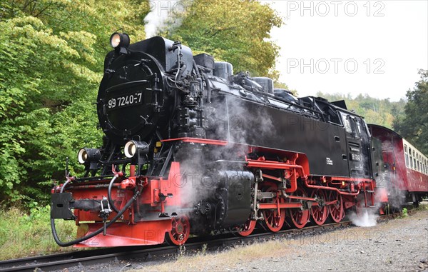 Steam locomotive of the Harz Narrow Gauge Railway, Brocken Railway in the Selke Valley, Saxony-Anhalt, Germany, Europe