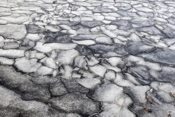 Winter, ice pattern formation, Chateauguay River, Province of Quebec, Canada, North America