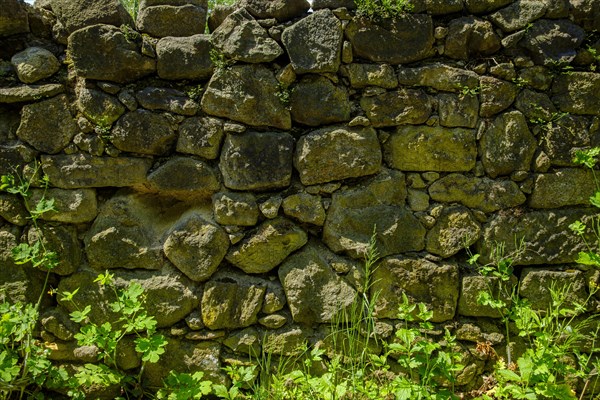 Old dilapidated masonry made of fieldstones with lush greenery in front of it