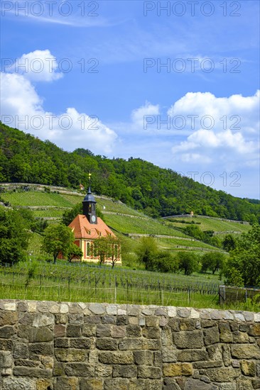 The Weinbergkirche Pillnitz a baroque church in the royal vineyard of Pillnitz, Dresden, Saxony, Germany, Europe