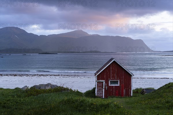 A red wooden hut on the sandy beach of Ramberg (Rambergstranda), with the sea behind it. At night at the time of the midnight sun. Pink clouds in the sky, the night sun shining from the side onto the mountain peaks. Early summer. Ramberg, Flakstadoya, Lofoten, Norway, Europe