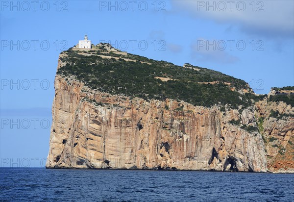 Cliff Capo Caccia, Capo Caccia nature park, lighthouse, Alghero, Sassari Province, Sardinia, Italy, Mediterranean Sea, South Europe, Europe