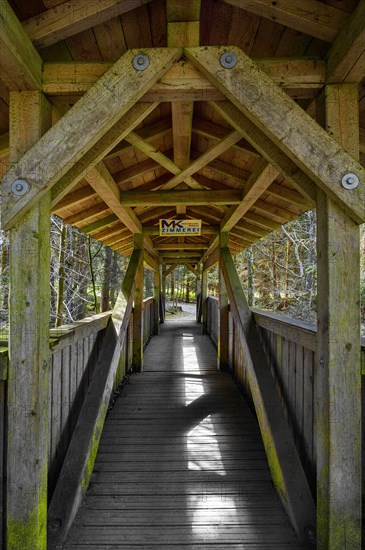 Wooden bridge over the Durach stream, Kemptner Wald, Allgaeu, Swabia, Bavaria, Germany, Europe