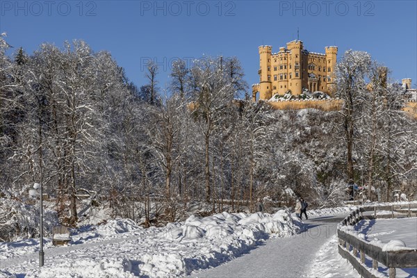 Hohenschwangau Castle, Schwangau near Fuessen, Allgaeu, Bavaria, Germany, Fuessen, Bavaria, Germany, Europe