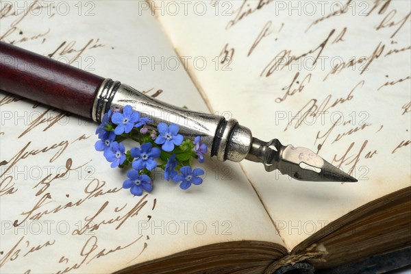 Pen and flower on diary, forget-me-not