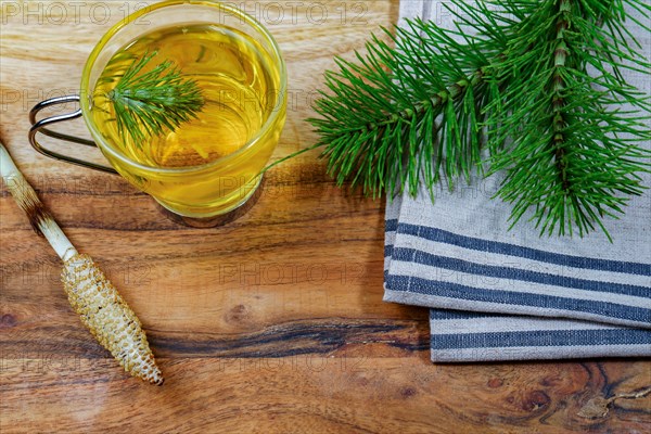 Infusion of medicinal plant, horsetail Equisetum arvense with fresh branches for health care on a wooden table