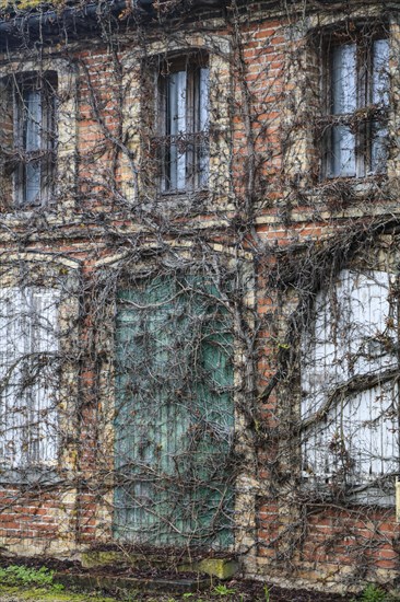 Stone house overgrown with ivy, seen from the open market hall in the village of Lesmont, Aube department, Grand Est region, France, Europe