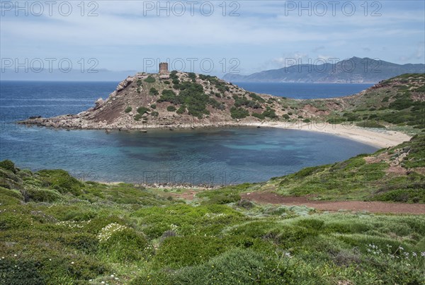 Torre del Porticciolo, Alghero, Sassari province, Sardinia, Mediterranean, Italy, South Europe, Europe