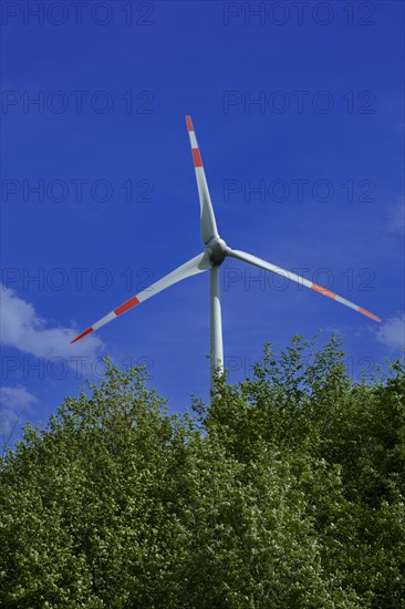 Wind turbine behind green trees at the Avacon substation Helmstedt, Helmstedt, Lower Saxony, Germany, Europe