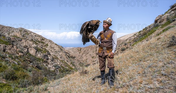 Traditional Kyrgyz eagle hunter with eagle in the mountains, hunting, near Bokonbayevo, Issyk Kul region, Kyrgyzstan, Asia