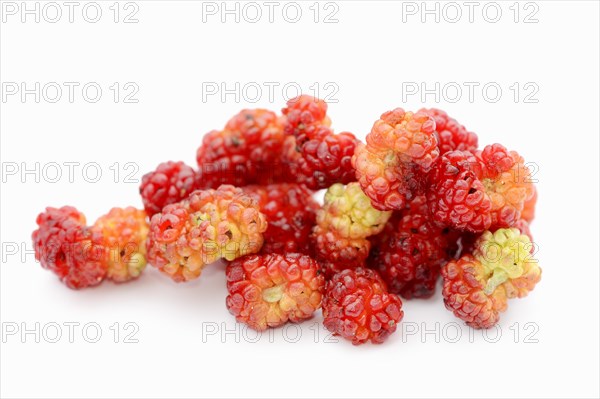 Strawberry spinach (Chenopodium foliosum, Blitum virgatum), fruits on a white background, vegetable and ornamental plant