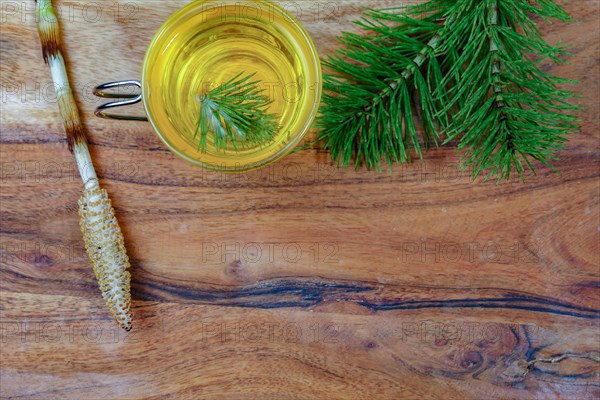 Top view of a infusion of medicinal plant, horsetail Equisetum arvense with fresh branches for health care on a wooden table