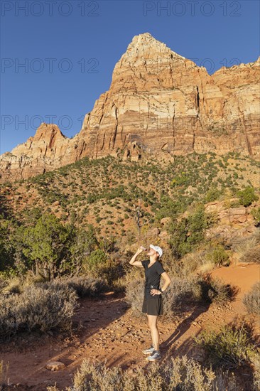 Jogger on the Watchman Trail, Watchman Mountain, Zion National Park, Colorado Plateau, Utah, USA, Zion National Park, Utah, USA, North America
