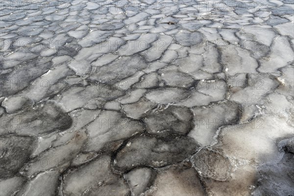 Winter, ice pattern formation, Chateauguay River, Province of Quebec, Canada, North America