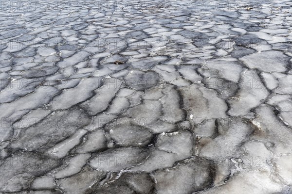 Winter, ice pattern formation, Chateauguay River, Province of Quebec, Canada, North America