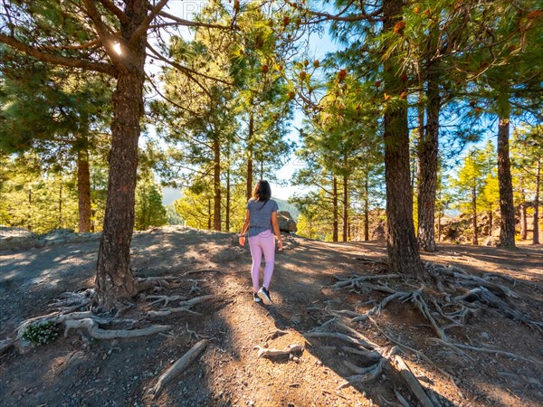 A woman walking in the landscape on the trails up to Roque Nublo in Gran Canaria, Canary Islands