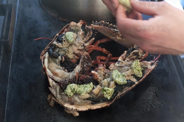 Cooked lobster (homarus) with caviar, vegetables and garlic butter on a plancha, Atlantic coast, Vandee, France, Europe