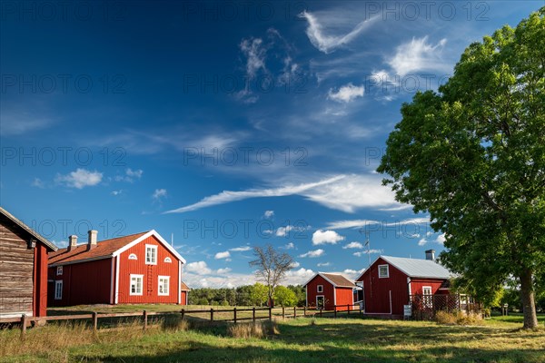 Falun red or Swedish red painted houses, farm, Geta, Aland, or Aland Islands, Gulf of Bothnia, Baltic Sea, Finland, Europe