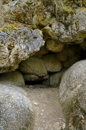 Calcareous tufa formation in a cave of the calcareous tufa terraces in the upper Wiesaz valley in the Swabian Alb near Goenningen, Baden-Wuerttemberg, Germany, Europe