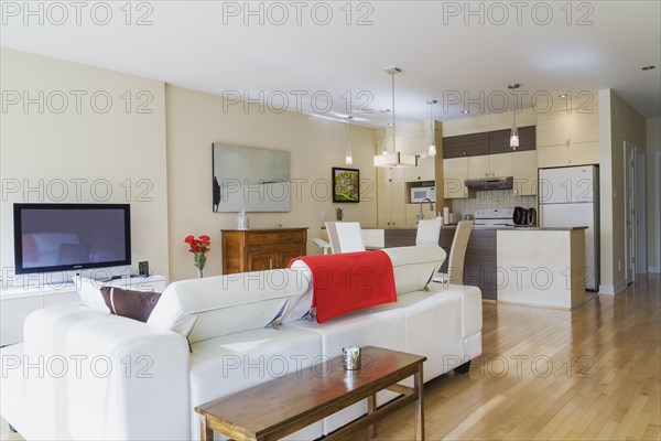 White leather sofa in living room and view of dining room area and kitchen inside a renovated ground floor apartment in an old residential cottage style home, Quebec, Canada, North America