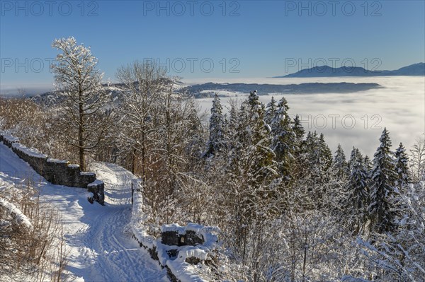 View from the Eisenberg castle ruins towards Fuessen, Allgaeu, Swabia, Bavaria, Germany, Pfronten, Bavaria, Germany, Europe