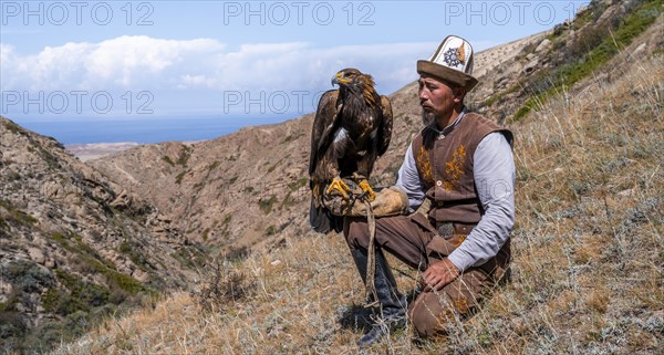 Traditional Kyrgyz eagle hunter with eagle in the mountains, hunting, near Bokonbayevo, Issyk Kul region, Kyrgyzstan, Asia