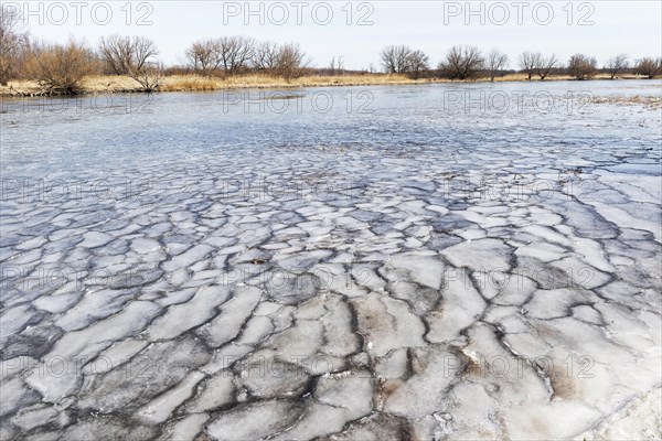 Winter, ice pattern formation, Chateauguay River, Province of Quebec, Canada, North America