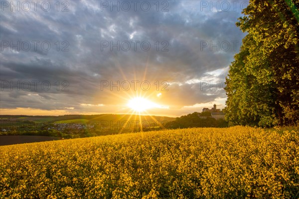 Landscape at sunrise. Beautiful morning landscape with fresh yellow rape fields in spring. Small castle in the yellow fields on a hill. Historic Ronneburg Castle in the middle of nature, Ronneburg, Hesse, Germany, Europe