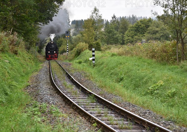 The Harz Narrow Gauge Railway, Brocken Railway, Selketal Railway in the Harz Mountains, Saxony-Anhalt, Germany, Europe