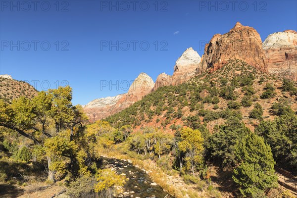 Virgin River in autumn, Zion National Park, Colorado Plateau, Utah, USA, Zion National Park, Utah, USA, North America