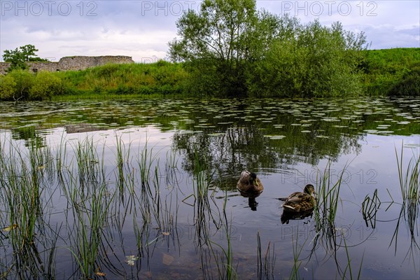 Kronoberg Castle Ruins (Kronobergs slottsruin), Vaexjoe, Smaland, Kronobergs laen, Sweden, Europe