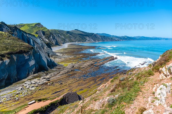 View of the marine vegetation in Algorri cove on the coast in the flysch of Zumaia without people, Gipuzkoa. Basque Country