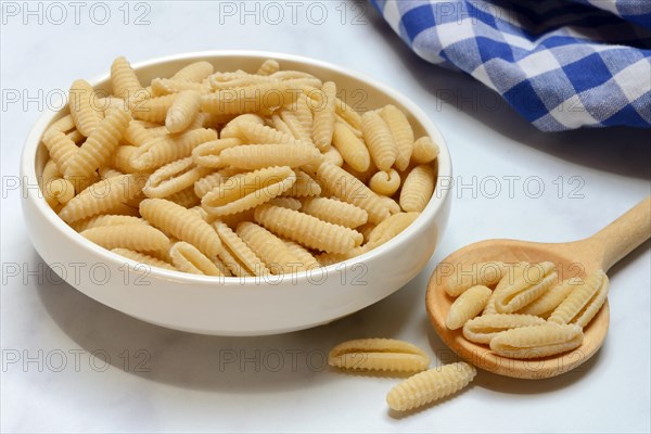 Malloreddus, Sardinian gnocchetti in shell, traditional pasta variety from Sardinia, Italy, Europe