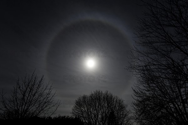 Nature, astronomy, halo during the total solar eclipse 2024, Province of Quebec, Canada, North America