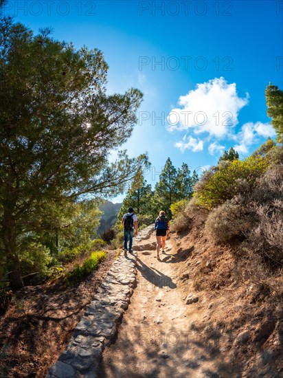 A couple of hikers on the trail up to Roque Nublo in Gran Canaria, Canary Islands. vertical photo