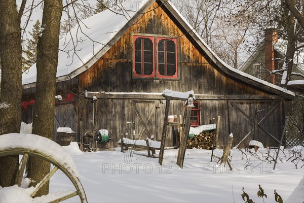 Old wooden rustic barn with red trimmed windows framed by trees in backyard garden in winter, Quebec, Canada. This image is property released. PR0190