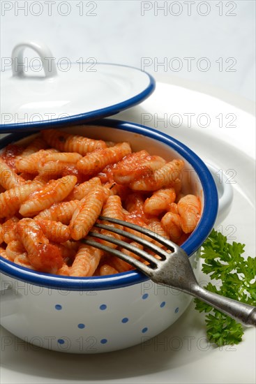 Malloreddus, Sardinian gnocchetti with tomato sauce in a bowl, traditional pasta variety from Sardinia, Italy, Europe