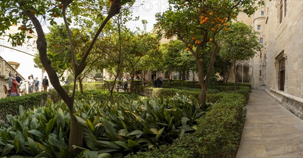 Inner courtyard with orange trees, Lonja de la Seda Palace, Silk Exchange, UNESCO World Heritage Site, Valencia, Spain, Europe