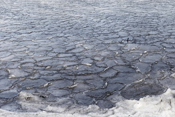 Winter, ice pattern formation, Chateauguay River, Province of Quebec, Canada, North America