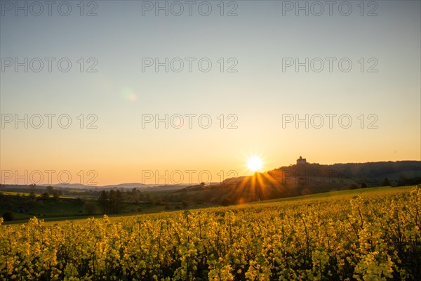 Landscape at sunrise. Beautiful morning landscape with fresh yellow rape fields in spring. Small castle in the yellow fields on a hill. Historic Ronneburg Castle in the middle of nature, Ronneburg, Hesse, Germany, Europe