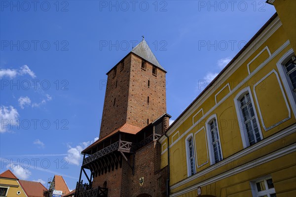 Krakow Tower, medieval city gate from the 14th century, part of the historic city fortifications of Namyslow (Namslau), Opole Voivodeship, Poland, Europe