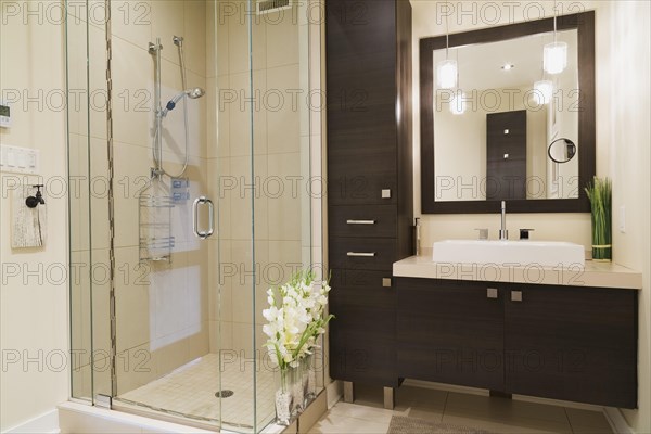 Contemporary brown laminated wood vanity with mirror and clear glass shower stall in bathroom inside a renovated ground floor apartment in an old residential cottage style home, Quebec, Canada, North America