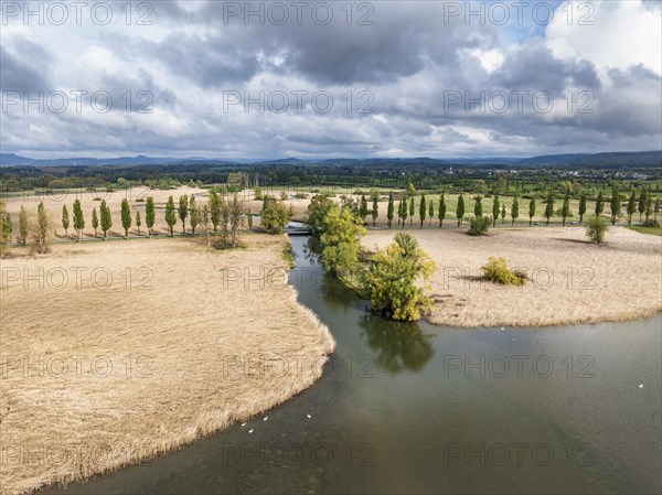 Aerial view of the Radolfzeller Aach, which flows into western Lake Constance surrounded by a belt of reeds, behind it the Raolfzeller Aachried, on the horizon the Hegauberge, district of Constance, Baden-Wuerttemberg, Germany, Europe
