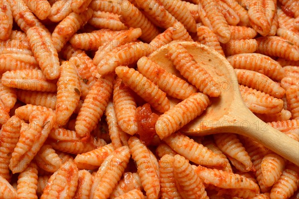 Malloreddus, Sardinian gnocchetti with tomato sauce, traditional type of pasta from Sardinia, Italy, Europe