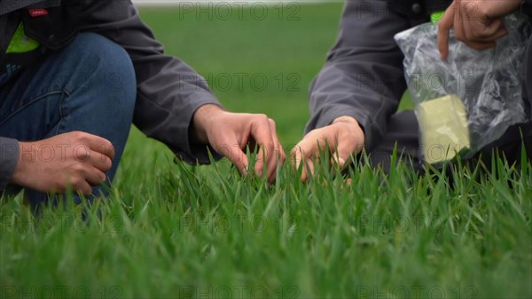 Hands of young man and woman picking up plastic bag in green grass