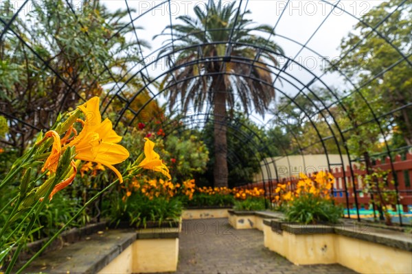 Beautiful path in a botanical garden, sustainable tourism concept in Arucas, Gran Canaria. Spain