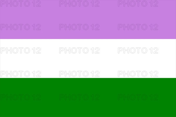Illustration of the Genderqueer Pride Flag. Movement LGBT. Symbol of sexual minorities