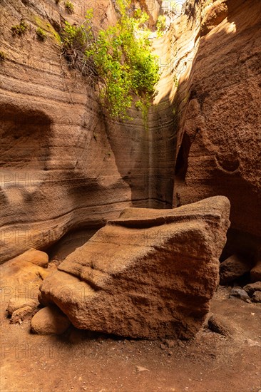 Picturesque limestone canyon Barranco de las Vacas in Gran Canaria, Canary Islands