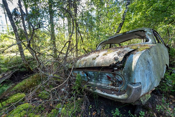 Ancient scrap car, Kyrkoe Mosse car graveyard, Ryd, Tingsryd, Kronobergs laen, Sweden, Europe